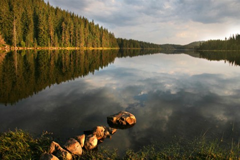 Язовир Широка поляна
